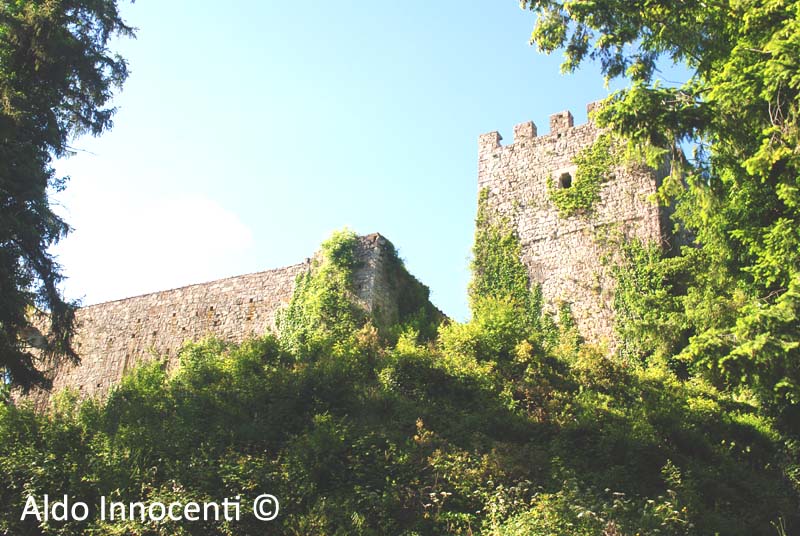 CASTELLO DI FOSINI: TORRE E MURA 2' IMMAGINE